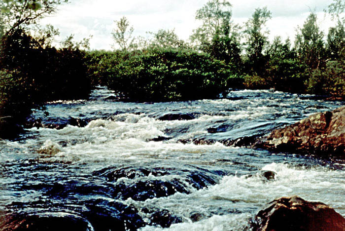 Namajoki river, Kola peninsula