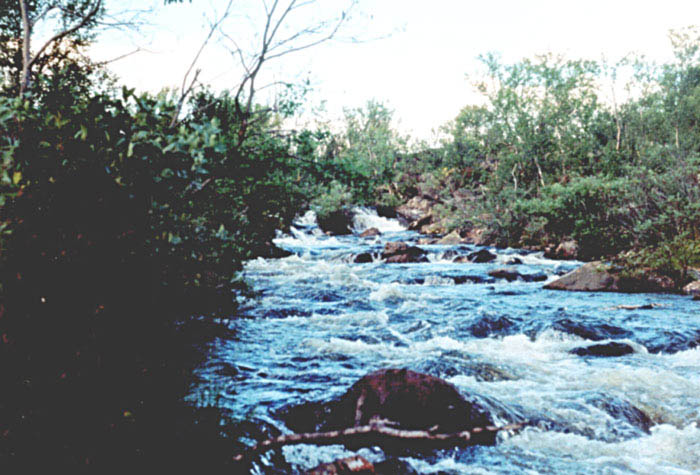 Namajoki river, Kola peninsula