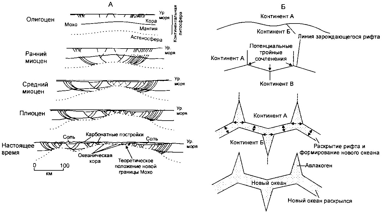 Линия зарождающегося рифта Потенциальные тройные сочленения Раскрытие рифта и  формирование нового океана Авлакоген Новый океан раскрылся